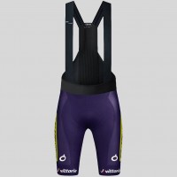 Heren Fietskleding Gobik Wilier Vittoria 2025 Absolute Print K10 Bib Tights