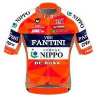 2017 Vini Fantini Nippo Wielershirt Met Korte Mouwen